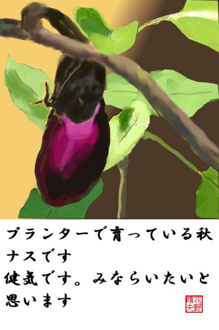 育つ秋ナス