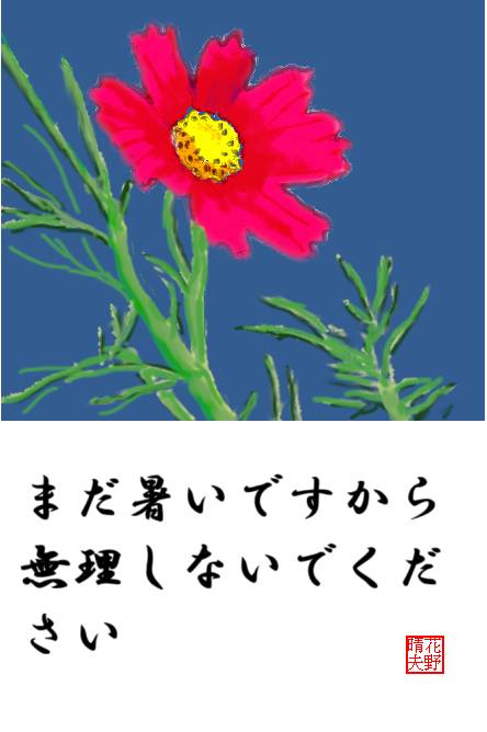 赤いコスモス一輪