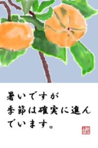 柿