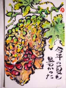 ゴーヤ 完熟 割れる!