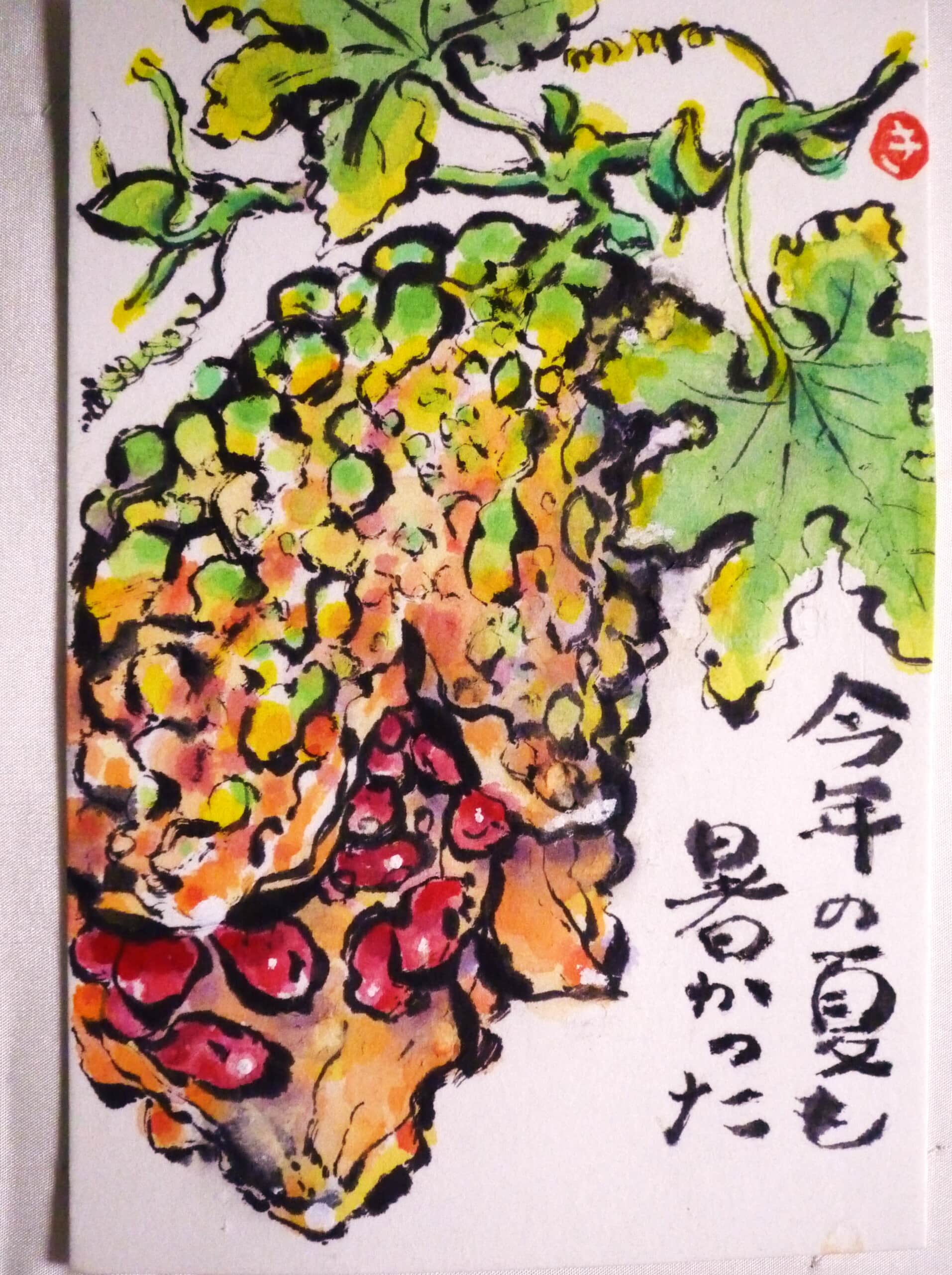 ゴーヤ 完熟 割れる!