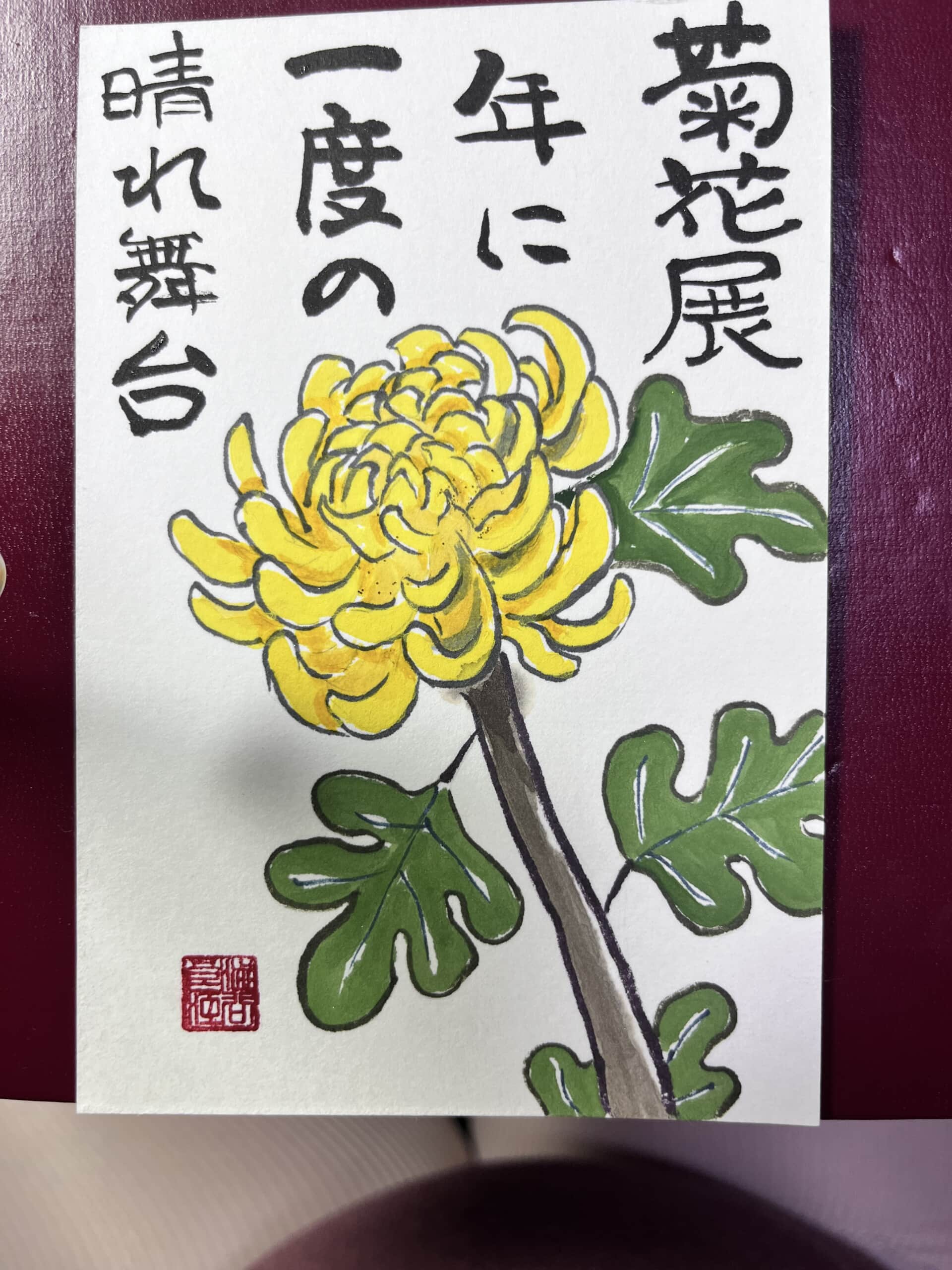 秋、菊，菊花展，霜月，花，大輪菊，