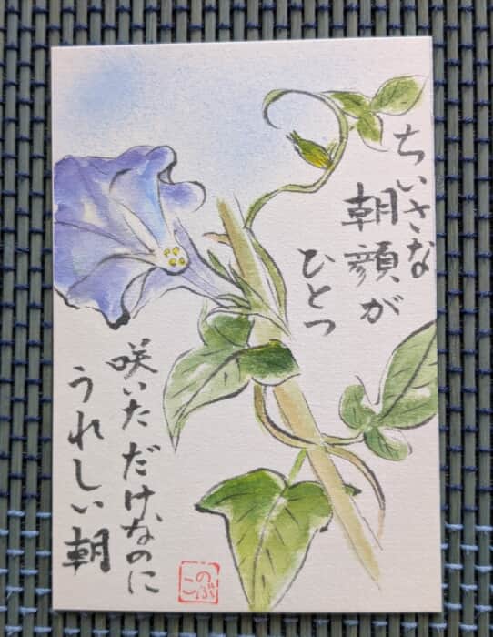 朝顔