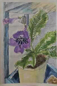 ストレプトカーパス～*