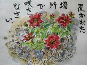 置かれた場所で咲きなさい～*