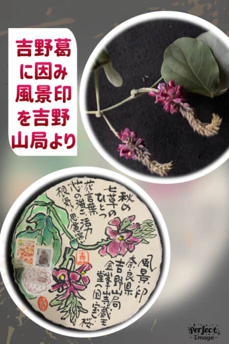 秋の花です。