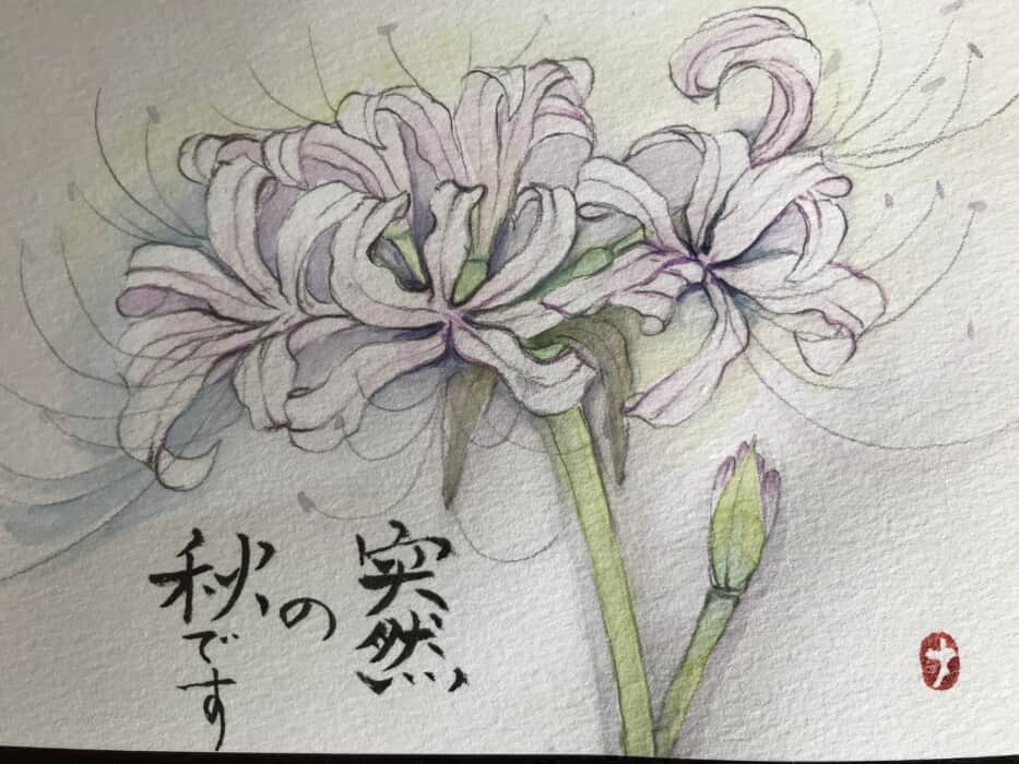 彼岸花