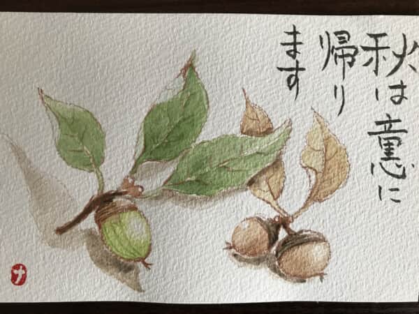 どんぐり