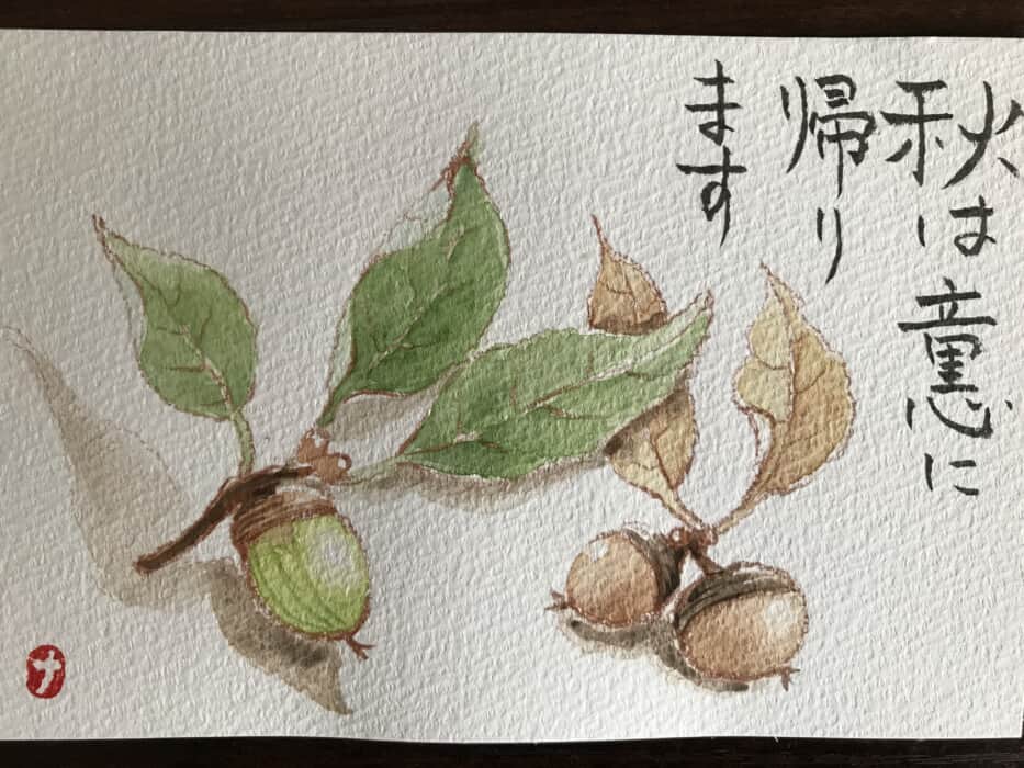 どんぐり