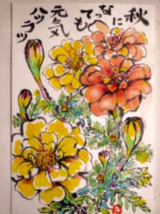 マリーゴールド