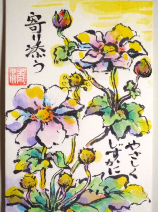 秋明菊