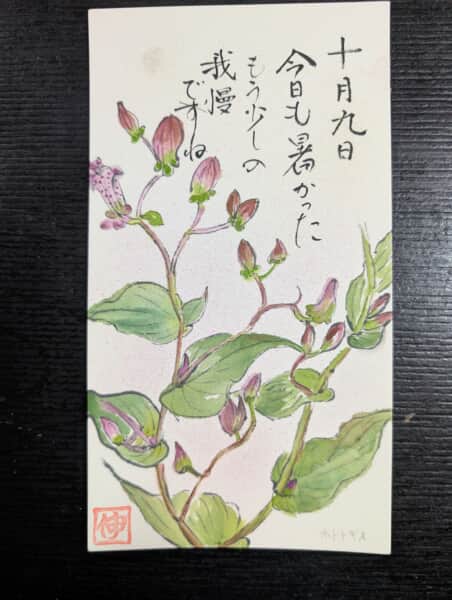 ほととぎす