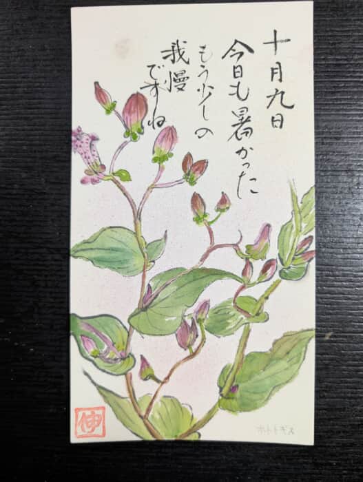 ほととぎす