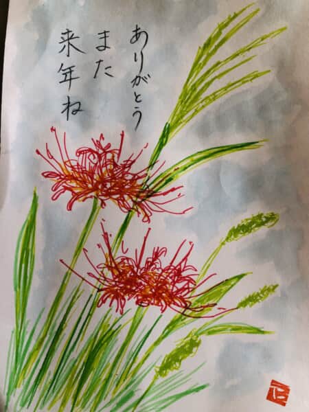 ヒガンバナ