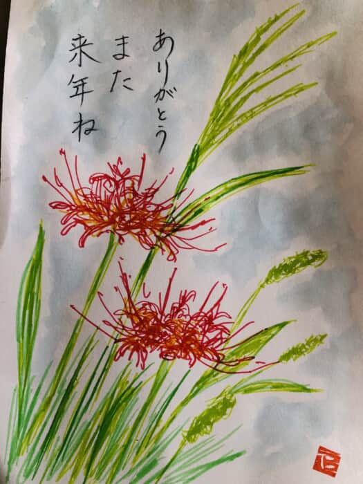 ヒガンバナ
