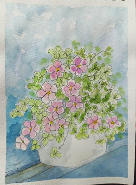 懐かしいオキザリス～*