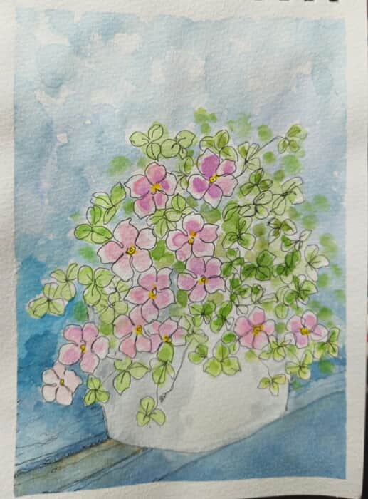 懐かしいオキザリス～*