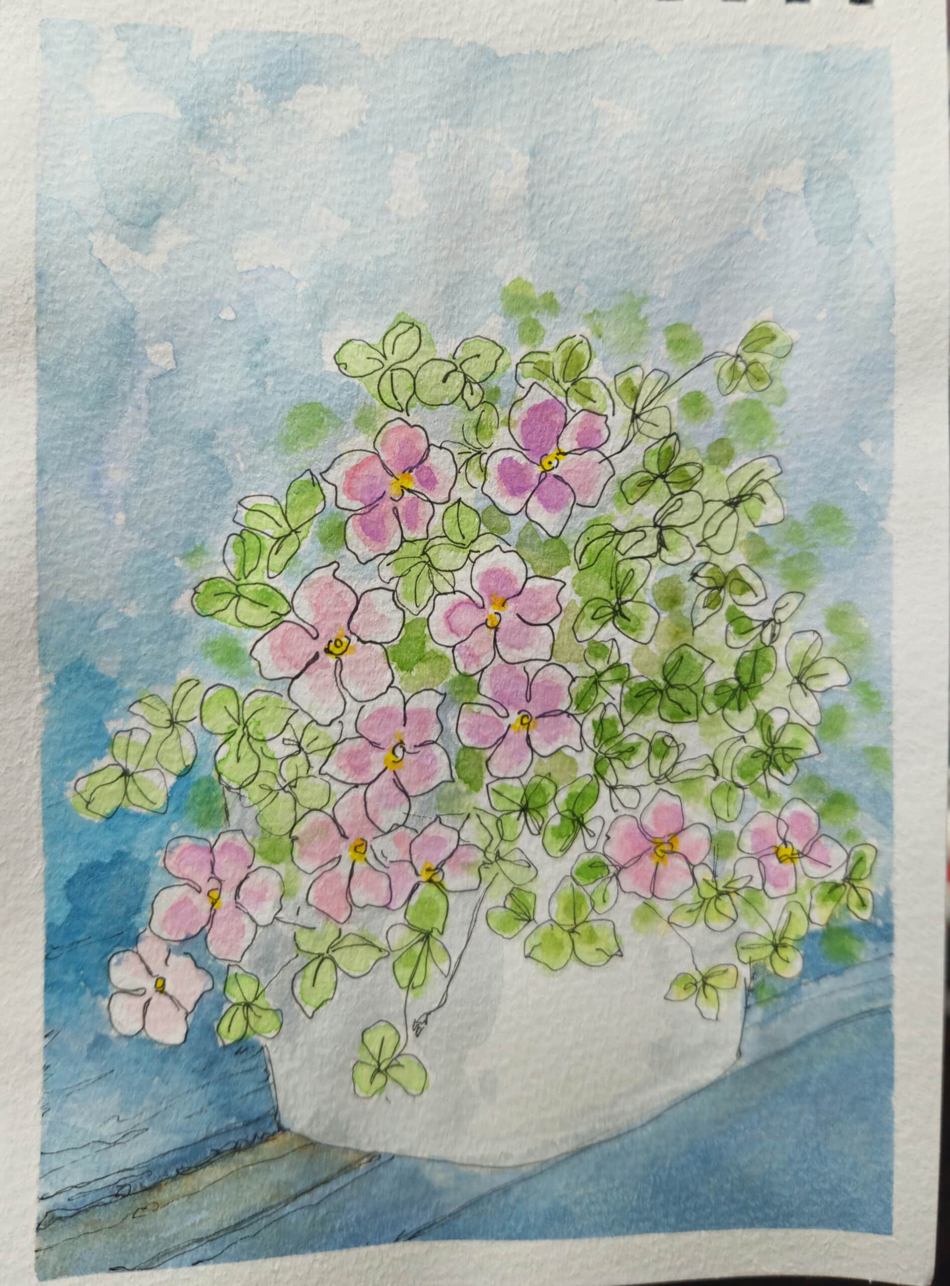 懐かしいオキザリス～*