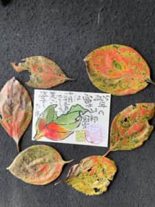 立冬のニュースがありました。