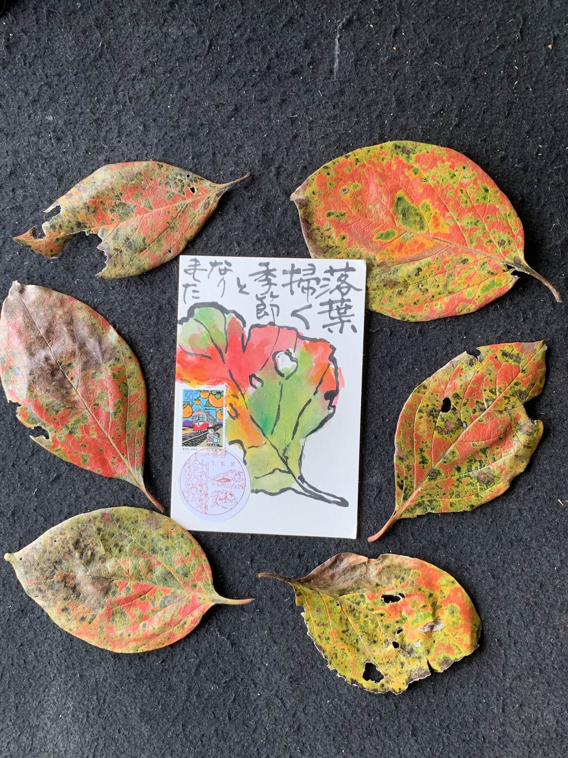 落ち葉掃きの時期