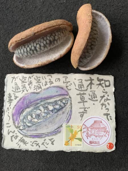 勉強になるなぁ❗️絵手紙って‼️