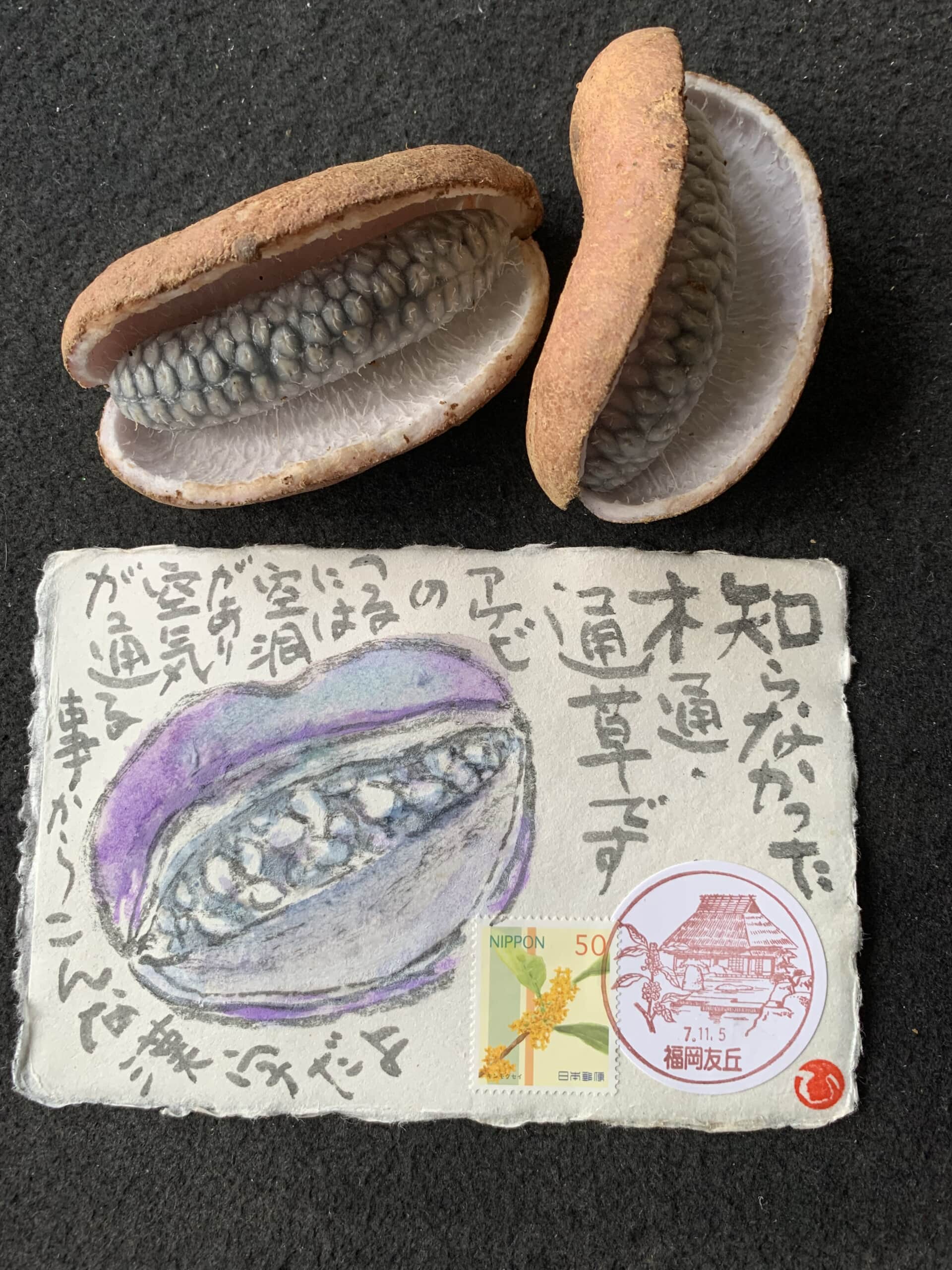 勉強になるなぁ❗️絵手紙って‼️