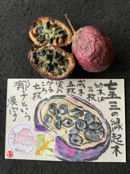 山からのプレゼント‼️