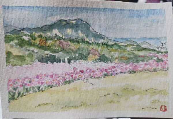 淡路花さじき～*