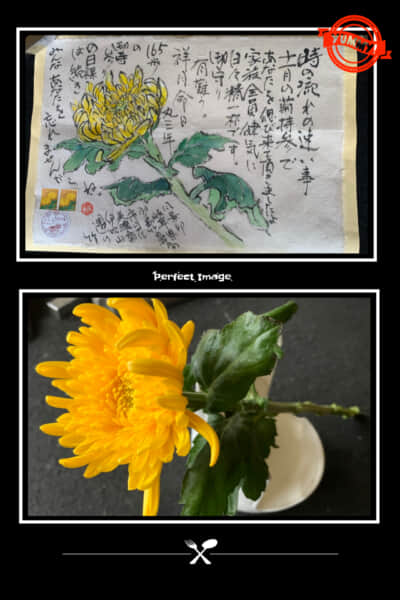 健気に生活してます。