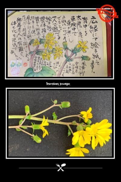 陽だまりの中に輝く花‼️