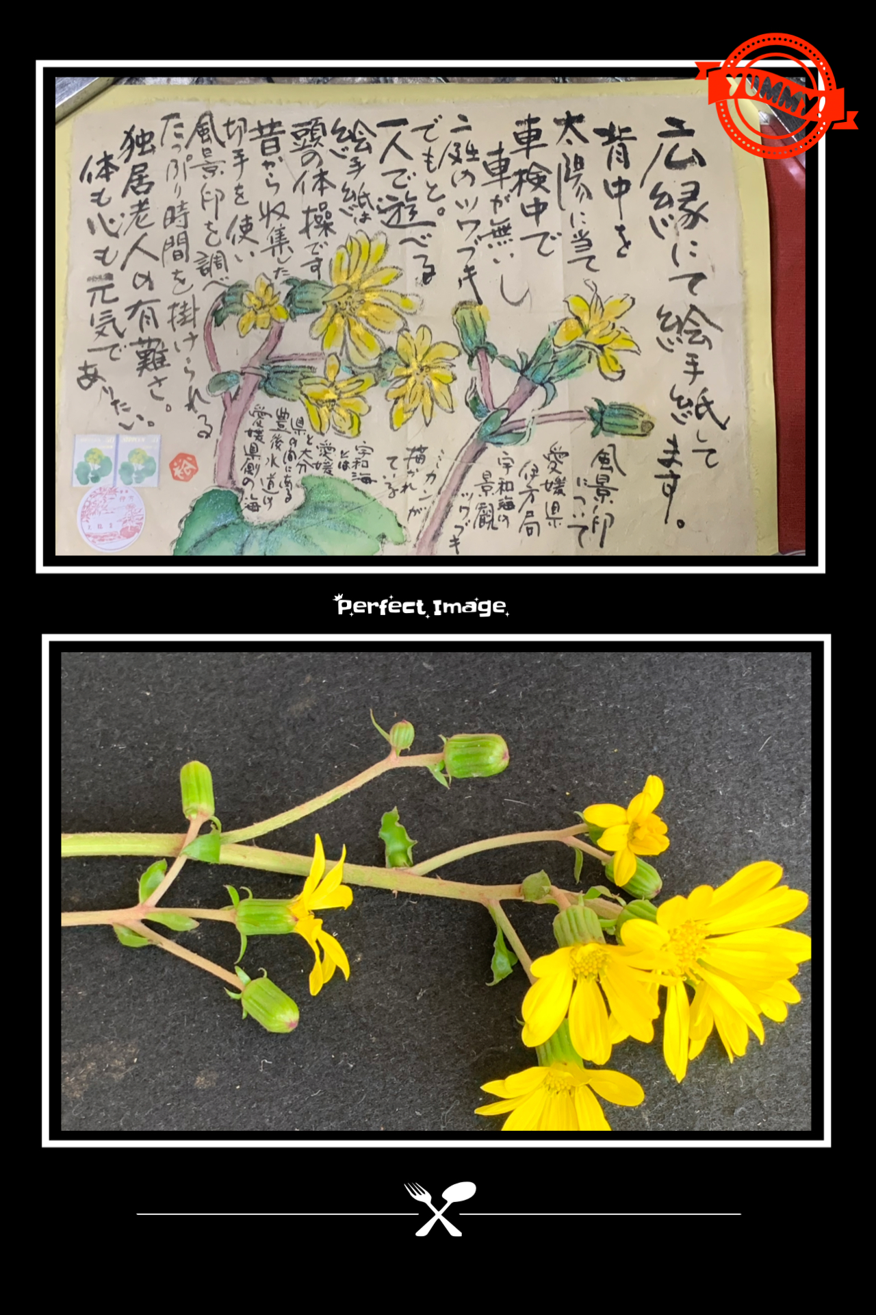 陽だまりの中に輝く花‼️