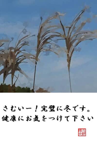 １２月のススキ