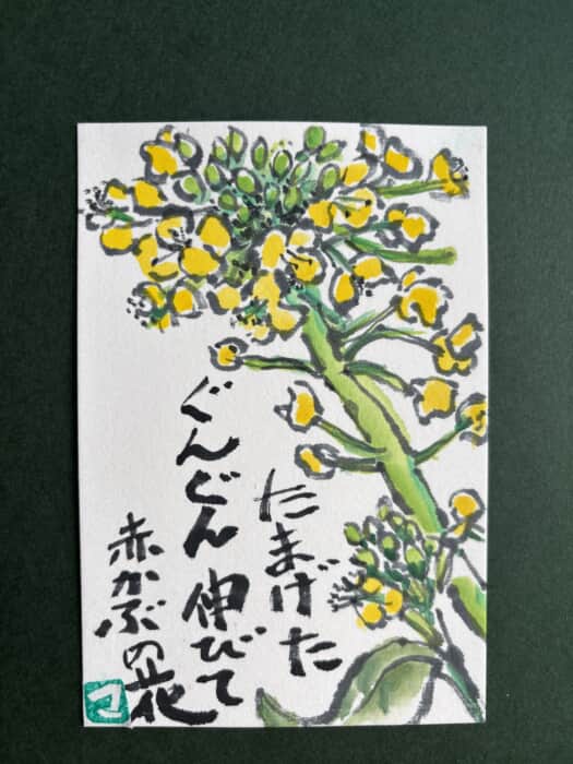 赤かぶの花