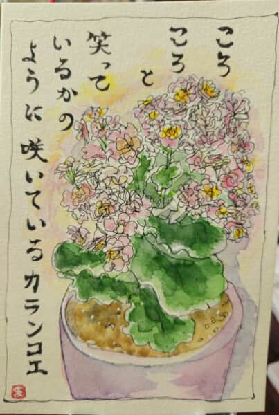 カランコエの花〜*