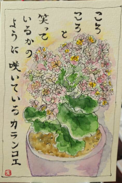 カランコエの花〜*