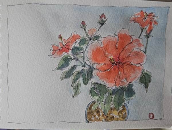 ハイビスカス〜*