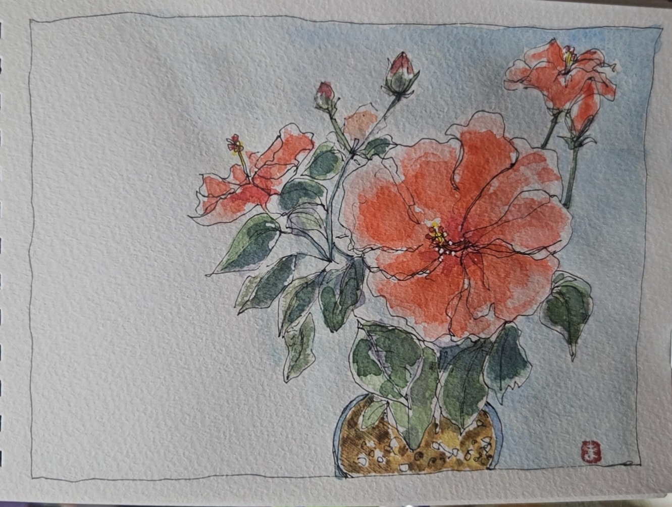 ハイビスカス〜*