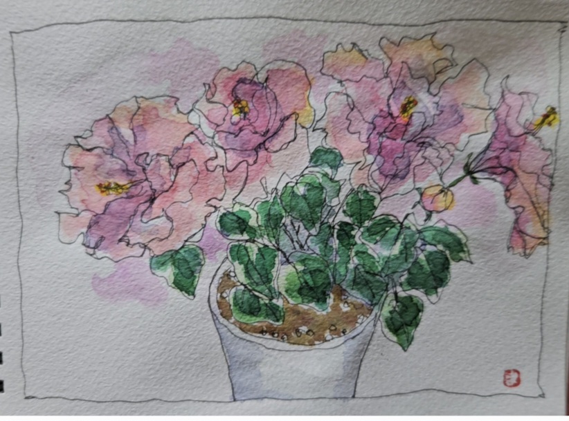 優しい色したハイビスカス～*