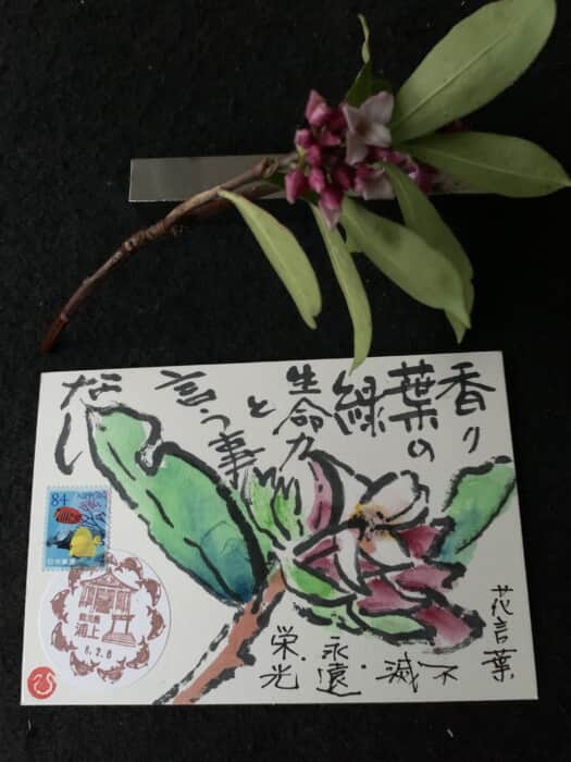 咲いた❗️咲いたよ‼️