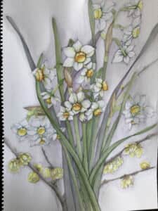 日本水仙と蝋梅