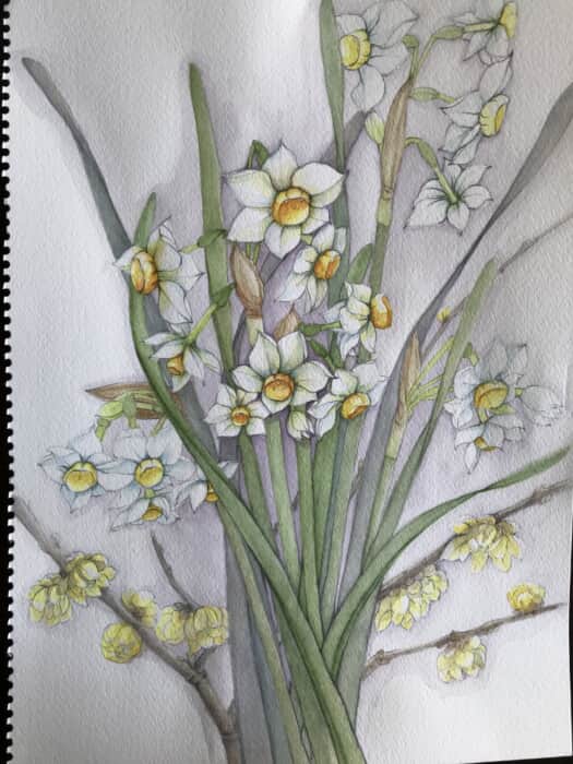 日本水仙と蝋梅