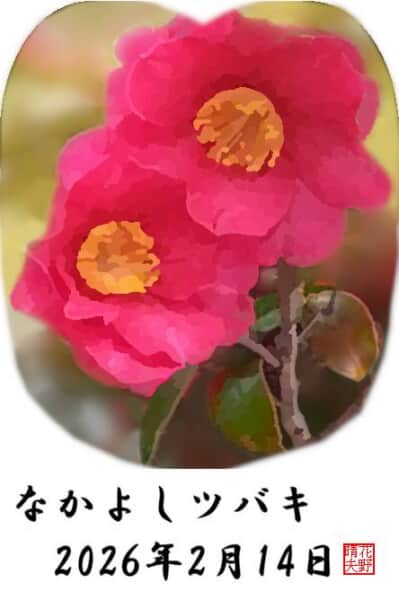 なかよしツバキ