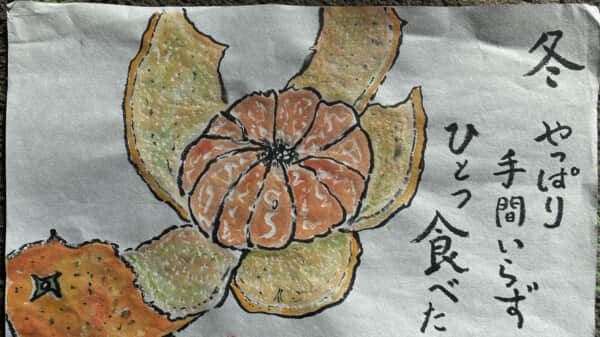 冬は、やっぱりコタツのみかん