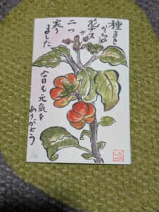花茄子