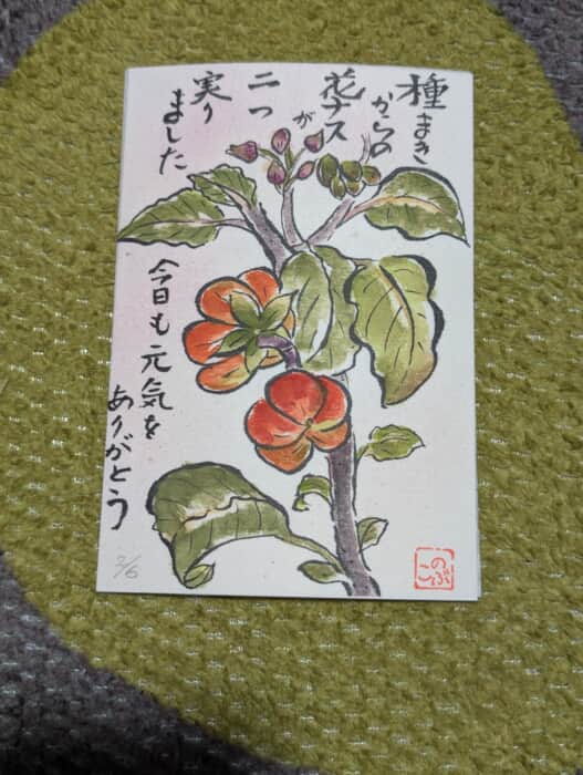 花茄子