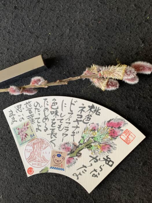 あなたは猫派？犬派？