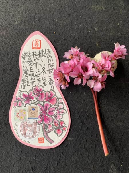 今日はサンキューの日‼️