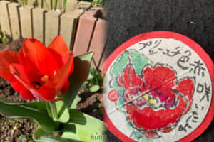 咲いた❗️咲いた♪唄ってねー‼️