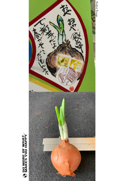 又やっちまったダメな主婦