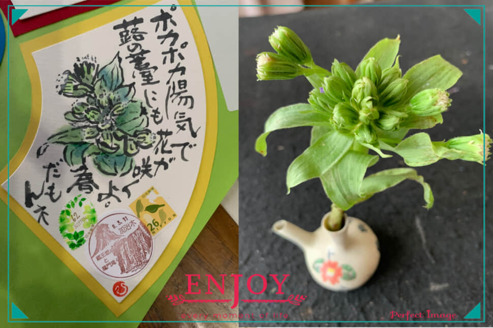 ポカポカだもんねー‼️